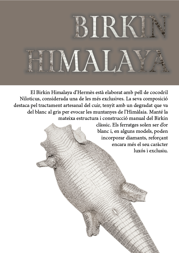 Contraportada